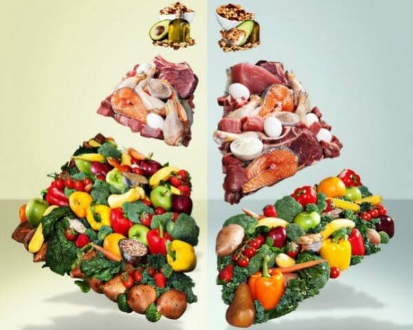 Updated version of food pyramid