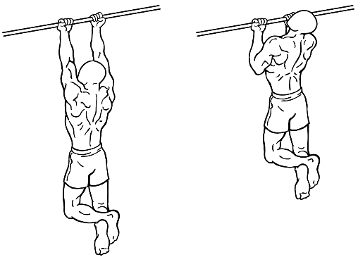 Grip chin up workout scheme