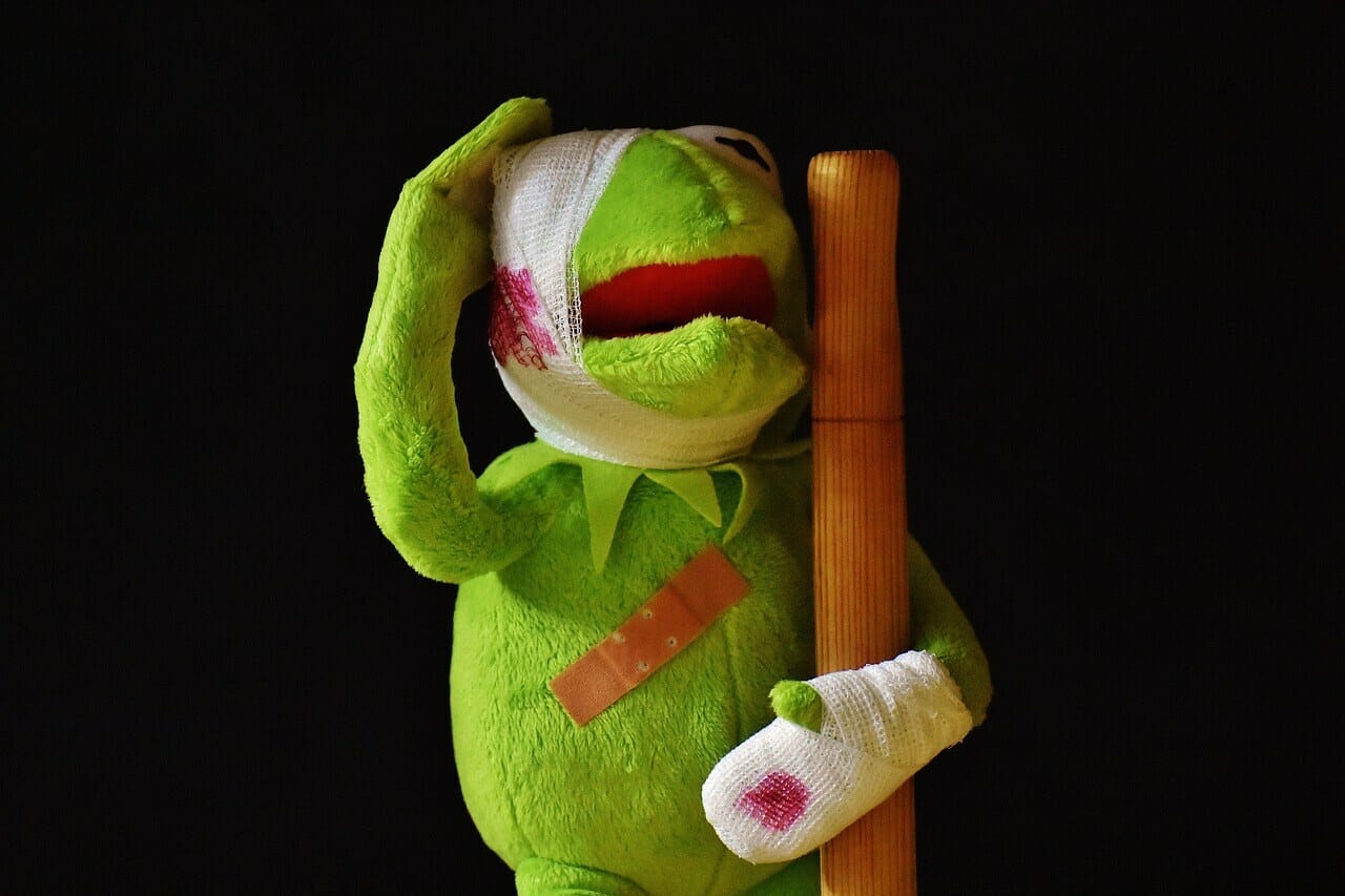 Plush toy of a frog