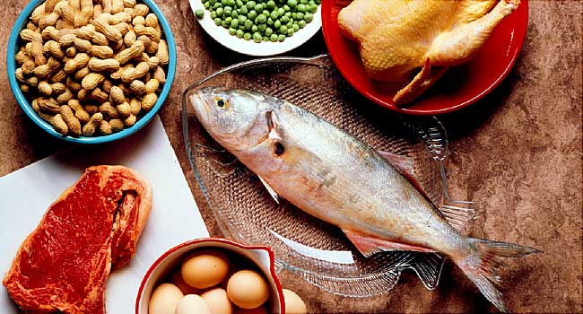 Foods high in protein on the table