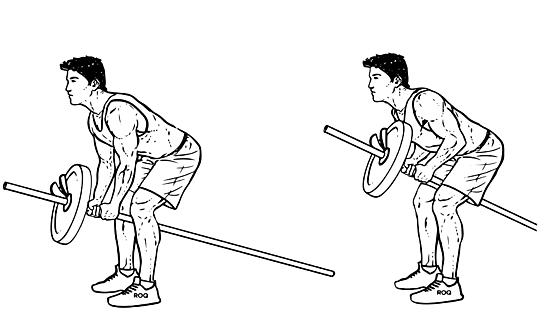 T bar row exercise scheme