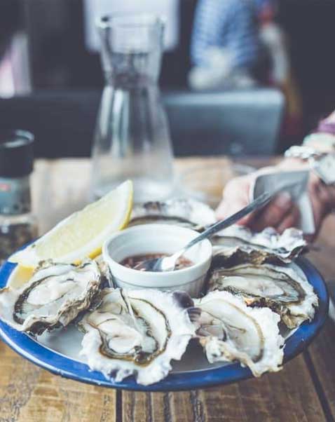 Oysters on a plate