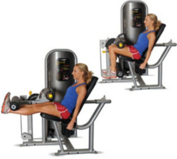 Hamstring Curl