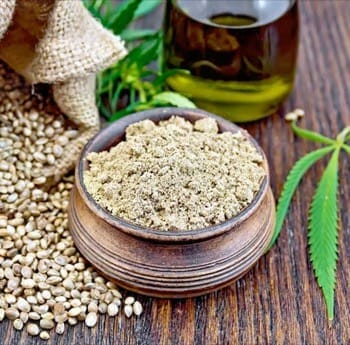 vegan powder serving