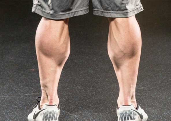 calves workout