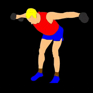 A person doing a reverse dumbbell fly