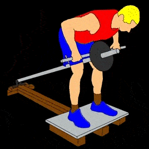 A person doing a T bar row