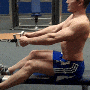 A person doing V-Bar Seated Rows