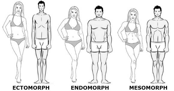 Endomorph Mesomorph Or Ectomorph The 3 Body Types