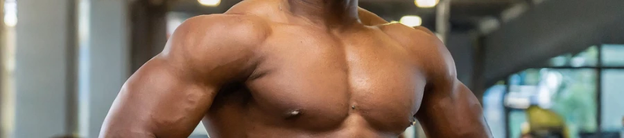 Close up of a mans chest