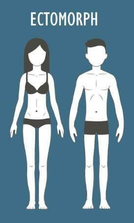 Ectomorph body type