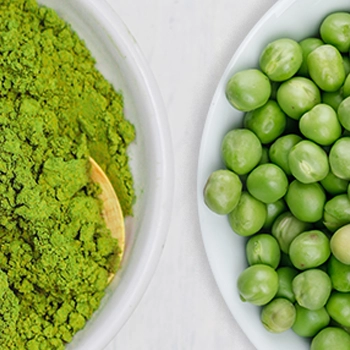 Top view of pea protein powder