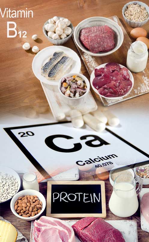 Vitamin B12, Calcium & Protein