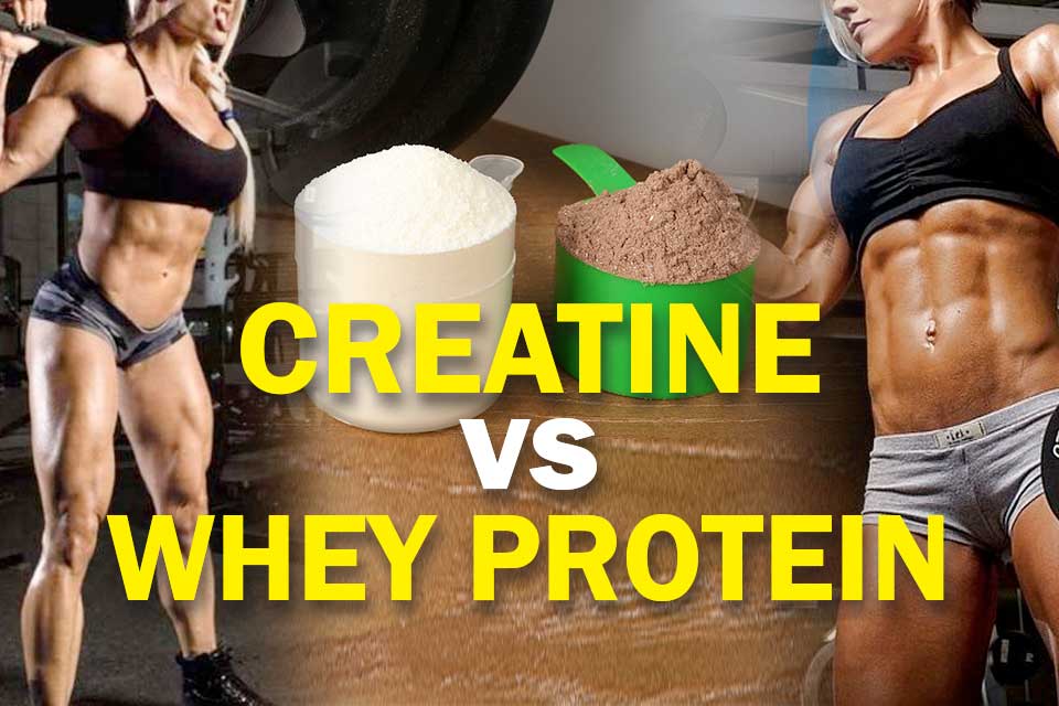 7-reasons-why-you-should-eat-more-protein-rich-foods-bioptimizers-blog