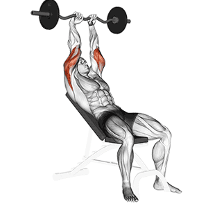 Overhead Triceps Extensions