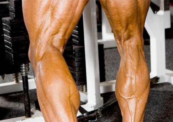 body-builder-calves