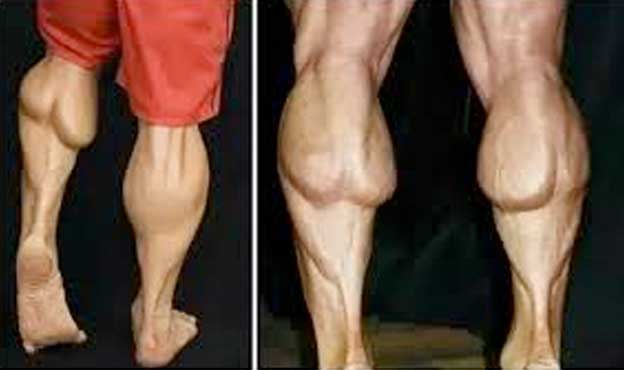 body builders calves