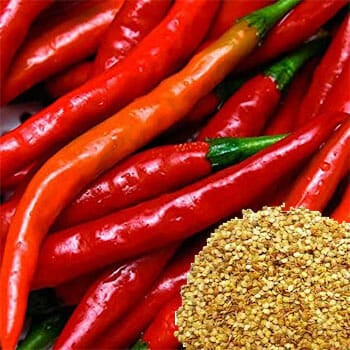 Cayenne Pepper Seeds