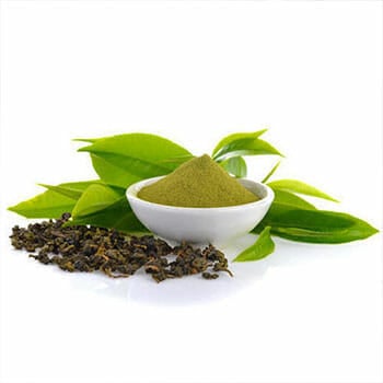 green tea extract with raw ingredients