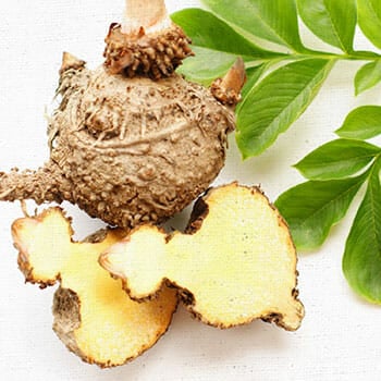 glucomannan