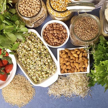 various bowls of grains with fiber