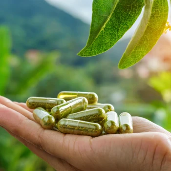 Life Extension Green Tea Flavanols capsules
