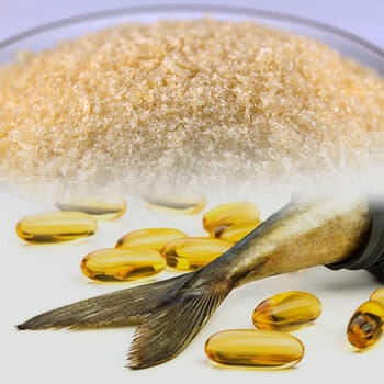 Fish oil