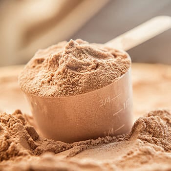 protein powder