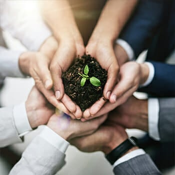 Plant Covered by Hands