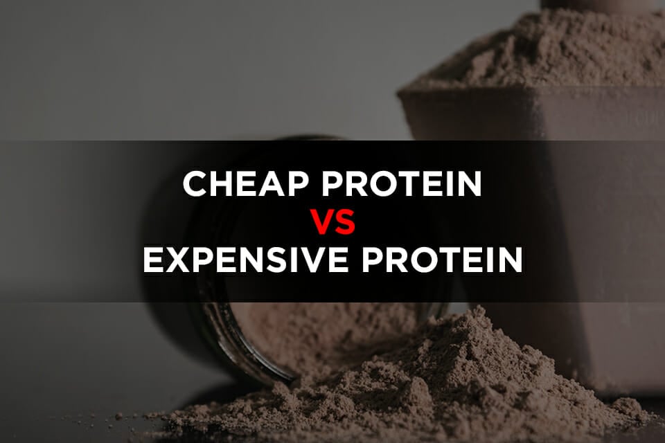Cheap vs Expensive Protein Powder Is There Any Difference?