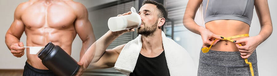 Do protein shakes make you fat FAQs