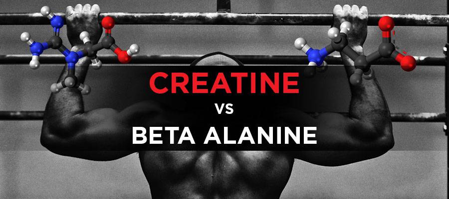 creatine-vs-beta-alanine-which-is-better-for-performance