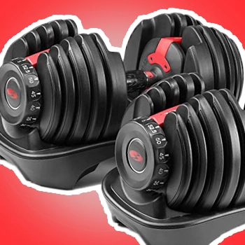 Bowflex Dumbbells