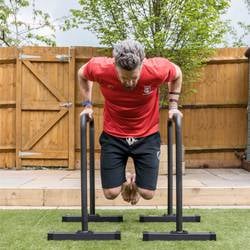 Calisthenics Dip Bars thumb