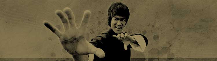 bruce lee martial arts fighting stance