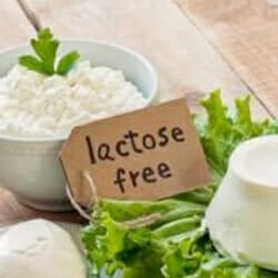 lactose free