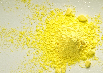boswellia extract on a white table