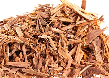 Yohimbe bark extract close up