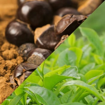 guarana seed and green tea leaves