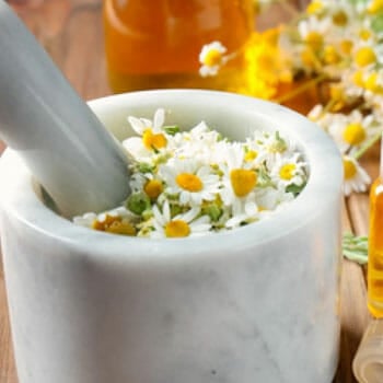 Chamomile Flower Extract