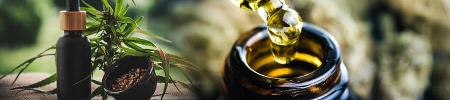 cbd oil