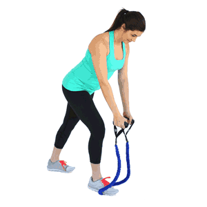 reverse fly resistance band
