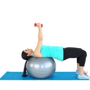 stability ball fly
