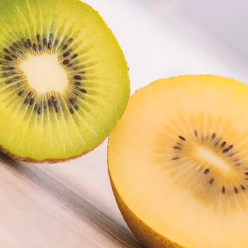2 slices of kiwi fruit