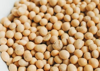 soy beans in a bowl