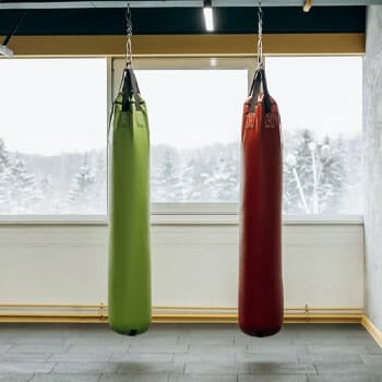 punching bags in a gym