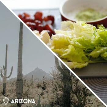 desert cactus, and kale