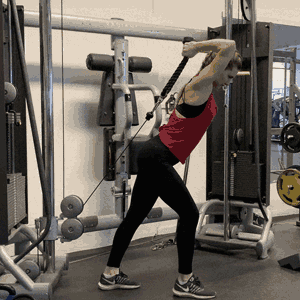 Cable Overhead Triceps Extensions