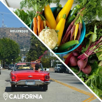 road to hollywood, vegetables