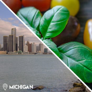 michigan city view, and tomatoes